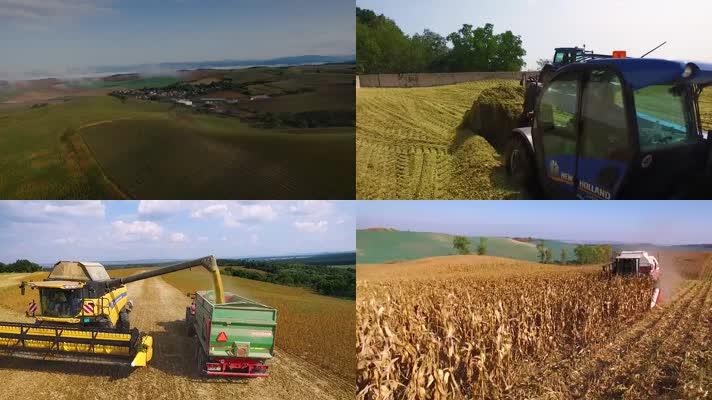 农业种植养殖丰收视频素材